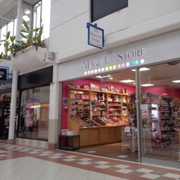 The Make Up Store