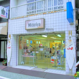 Cosmetic House Midoriya