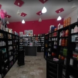 COSMOSALON