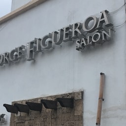 Jorge Figueroa Salon