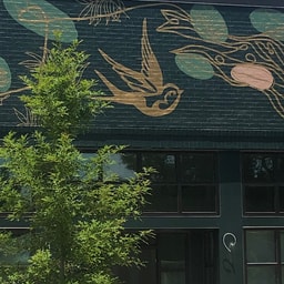 Aviary Beauty + Wellness Summerhill