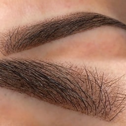 Look of WAUW