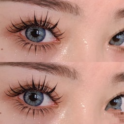 Lash City of East Meadow
