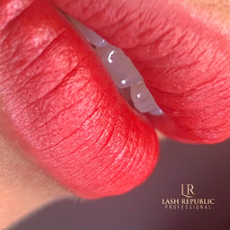 Lash Republic Professional