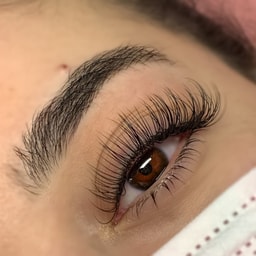 The Lash & Beauty Lounge