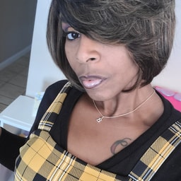 Bouvardia Hair Studio