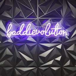 Baddie Evolution Salon