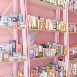 Camellia Beauty Store