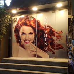 Brushing Beauty Salon