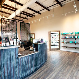 Art + Science a Salon