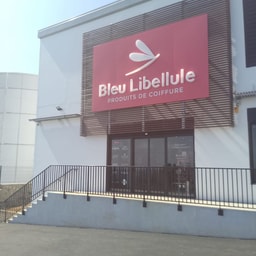 Bleu Libellule St Leu