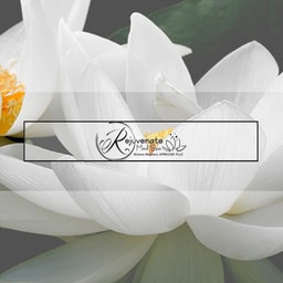 Rejuvenate Med Spa