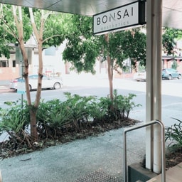 Bonsai Aesthetics Teneriffe