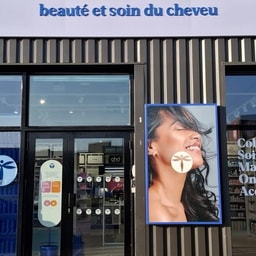 Bleu Libellule Vannes
