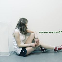 PiED DE POULE POCHE