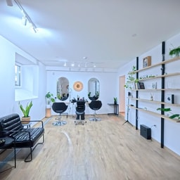 DG Studija