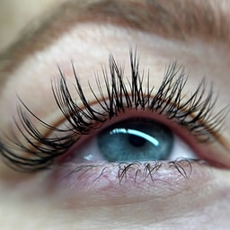 Lash Pilot Santa Monica