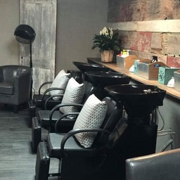 Shear Trendz Salon of Baraboo