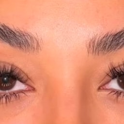 The Lash and Brow Beauty Bar, LLC
