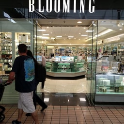 Blooming Cosmetics Inc
