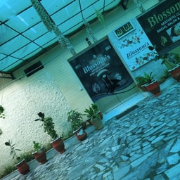 Blossom's Bridal Salon Studio & Academy