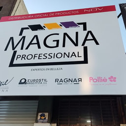 Magna Professional