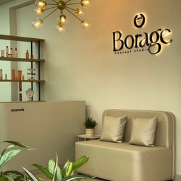 Borage Concept Studio