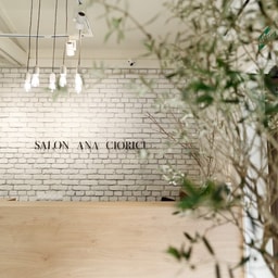 Salon Ana Ciorici