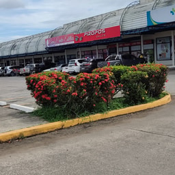 Piropos Salón