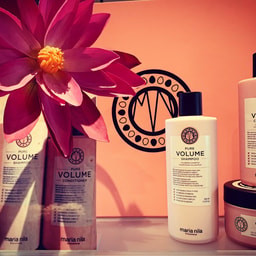 Ja Vi No Salon