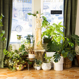 Milk & Honey: The Beauty Bar