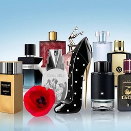 Center Beauty Woman