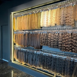 Top Hair