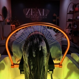 Zeal Aesthetics