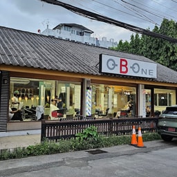 O-B-One Hair Color Expert and Treatment