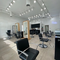 The Studio Los Gatos