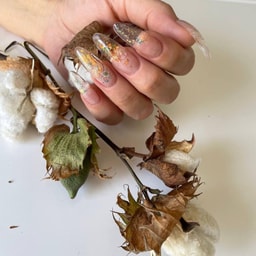 Tsoy Beauty Space