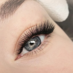 The Lash Room