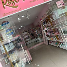 Rose Makeup