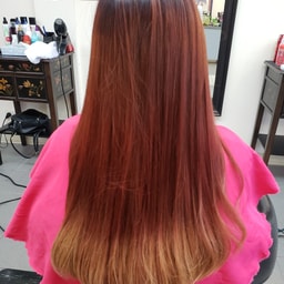 Hairtopia