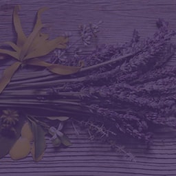 Body Health & Mind Center Med Spa & Salon