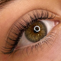 Lash Room