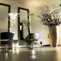 Vipsalon