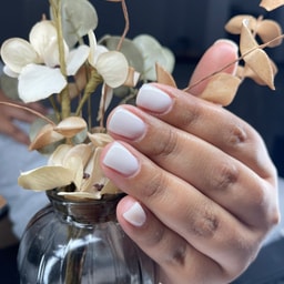 Elixir Beauty