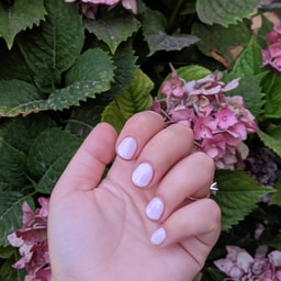 Estheva