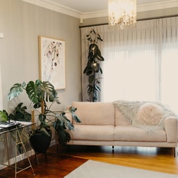 The Darling Room