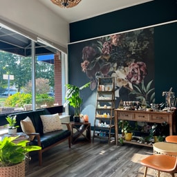 Bloom Salon & Aesthetics