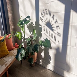 Rosewater Salon Ferndale