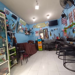Vd salon 1