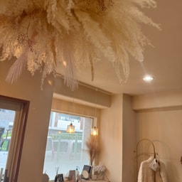 Lily joie eyelashsalon